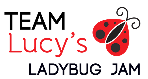 Team-Lucys-Ladybug-Jam-Austin-Texas